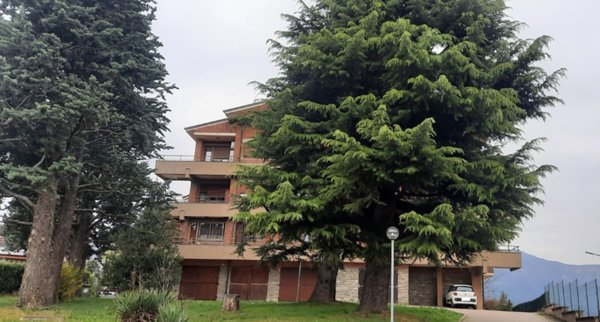 appartamento in vendita ad Avigliana