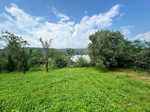 terreno agricolo in vendita ad Avigliana