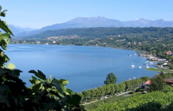negozio in vendita ad Avigliana