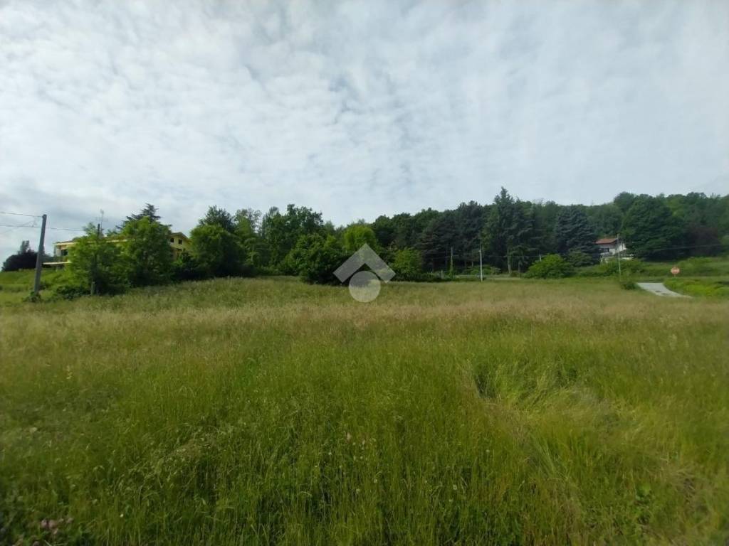 terreno agricolo in vendita ad Avigliana