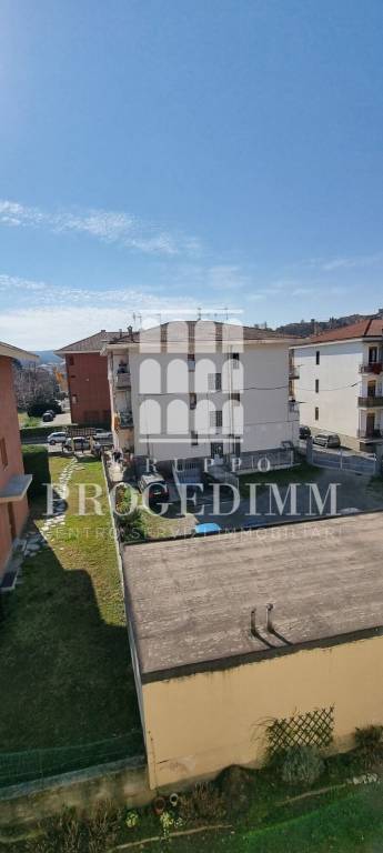 immagine annuncio 0 di 15