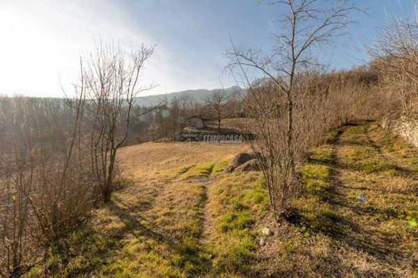 terreno agricolo in vendita ad Avigliana
