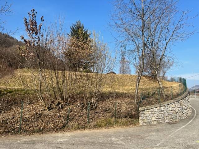 immagine annuncio 0 di 5