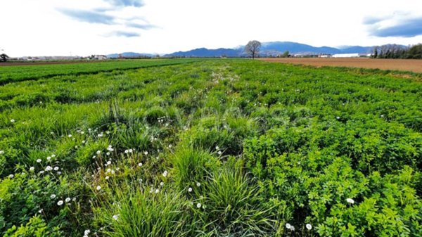 terreno agricolo in vendita a Suisio