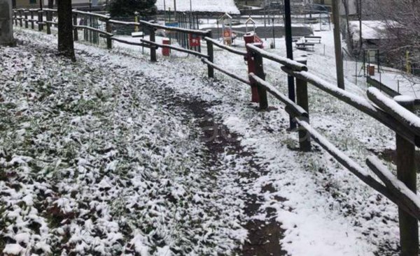 terreno agricolo in vendita a Taleggio in zona Sottochiesa
