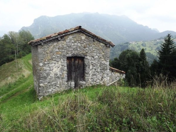 appartamento in vendita a Taleggio