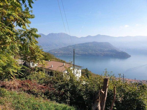 terreno agricolo in vendita a Tavernola Bergamasca