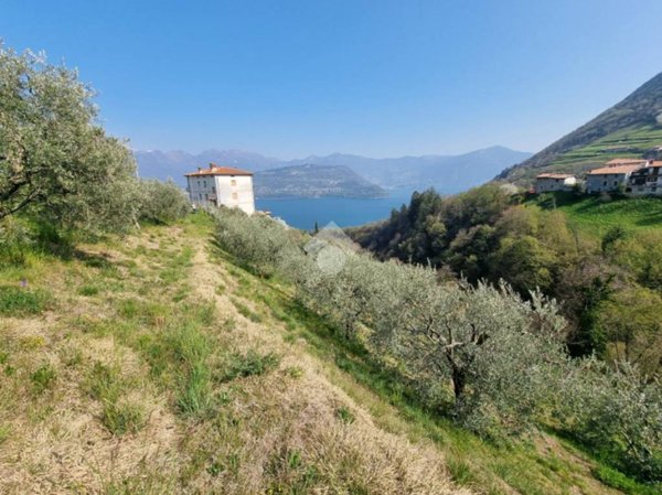 terreno agricolo in vendita a Tavernola Bergamasca