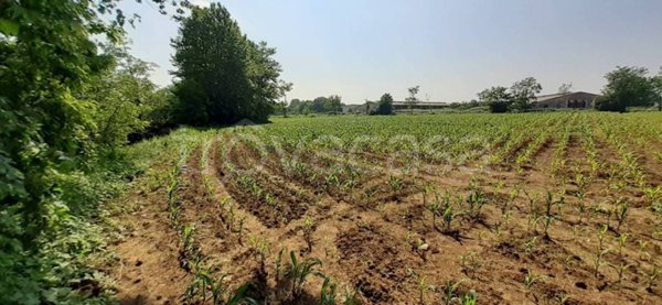 terreno agricolo in vendita a Telgate