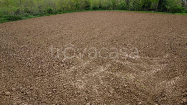 terreno agricolo in vendita a Terno d'Isola