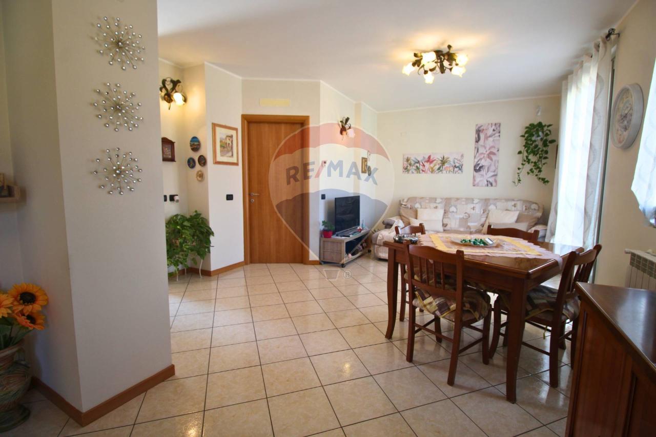 immagine annuncio 0 di 15