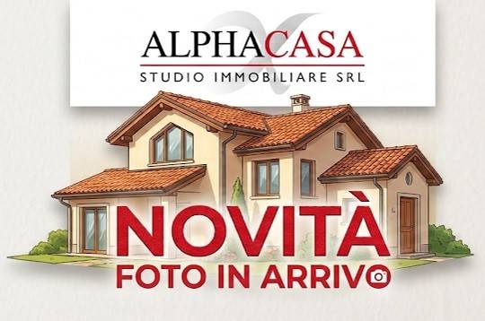 appartamento in vendita a Terno d'Isola