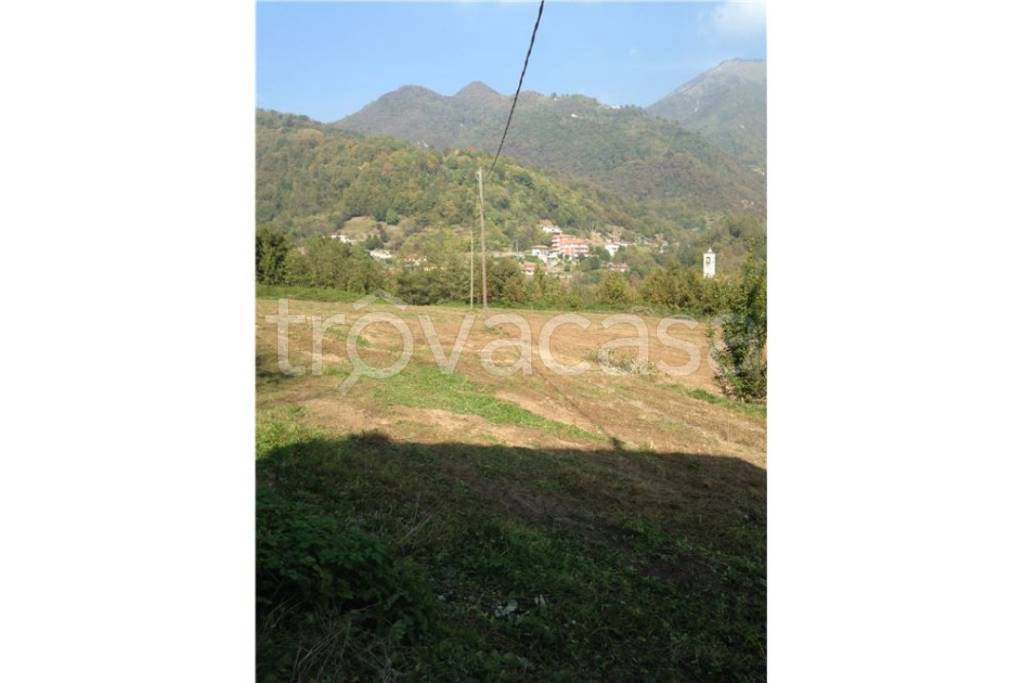 terreno agricolo in vendita a Torre de' Busi