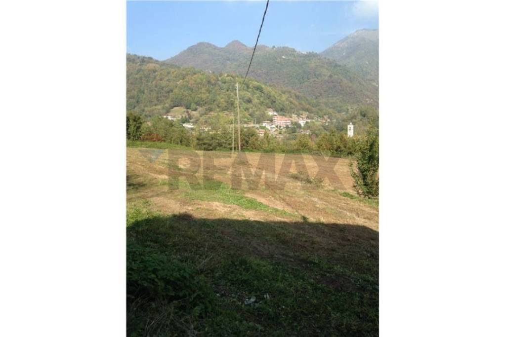 immagine annuncio 0 di 15