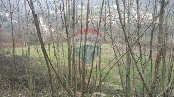 terreno agricolo in vendita a Torre de' Busi in zona Sogno