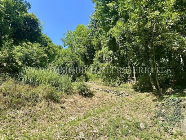 terreno agricolo in vendita a Torre de' Busi in zona Sogno