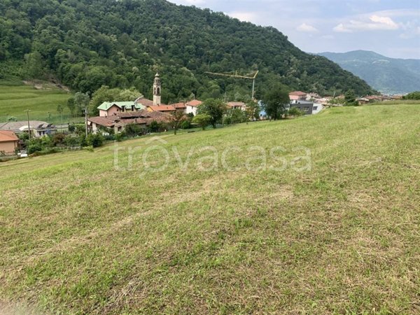 terreno agricolo in vendita a Torre de' Busi