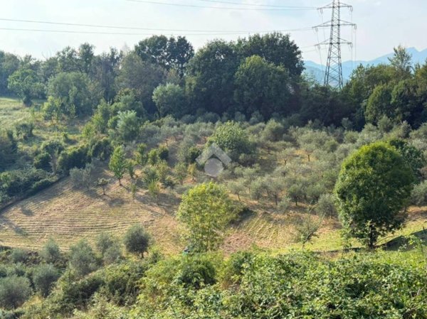 terreno agricolo in vendita a Torre de' Roveri