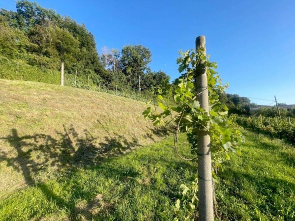casa indipendente in vendita a Trescore Balneario