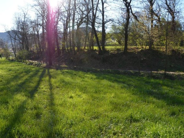 terreno agricolo in vendita a Trescore Balneario