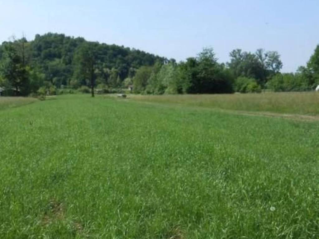terreno agricolo in vendita a Trescore Balneario
