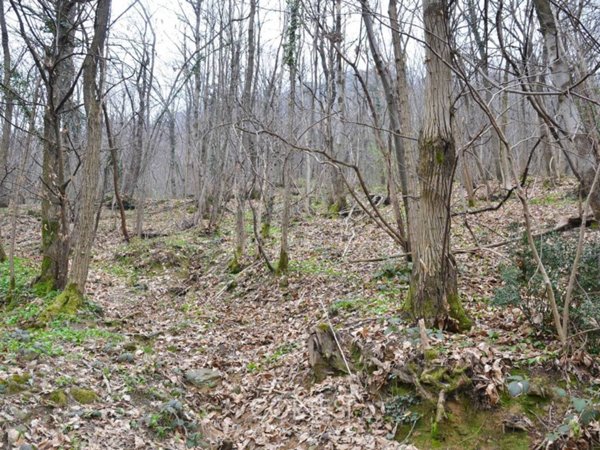terreno agricolo in vendita a Trescore Balneario