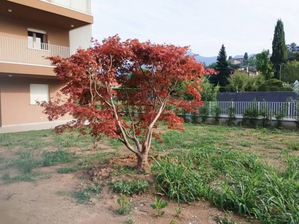 appartamento in vendita a Trescore Balneario