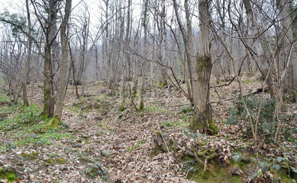 ufficio in vendita a Trescore Balneario