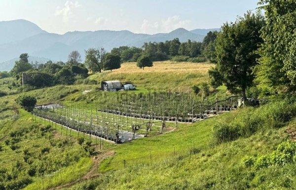 terreno agricolo in vendita a Trescore Balneario