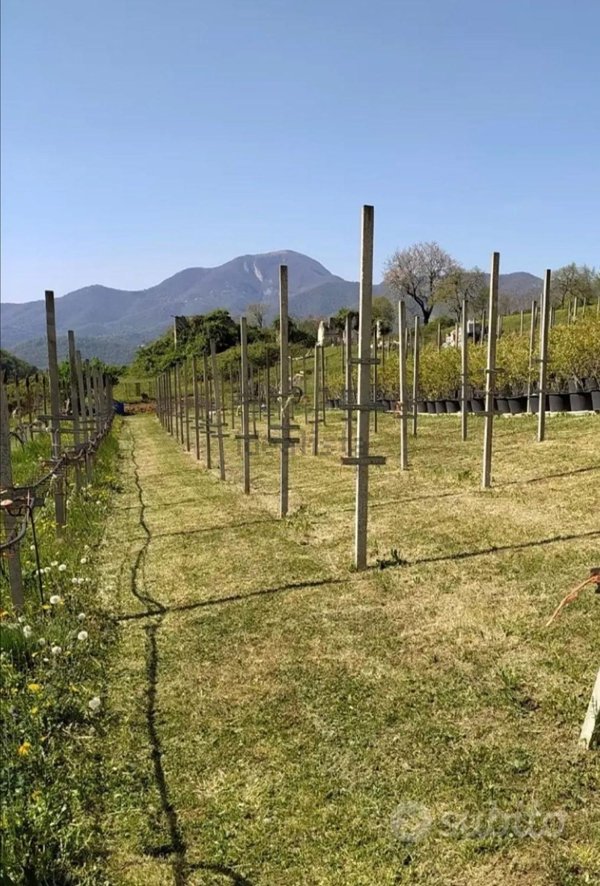 terreno agricolo in vendita a Trescore Balneario