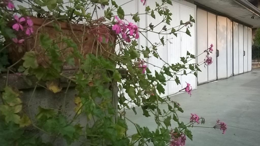 appartamento in vendita a Trescore Balneario