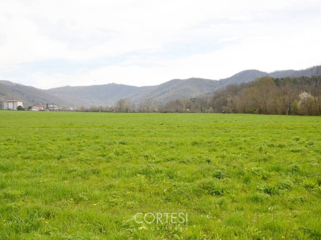 terreno in vendita a Trescore Balneario