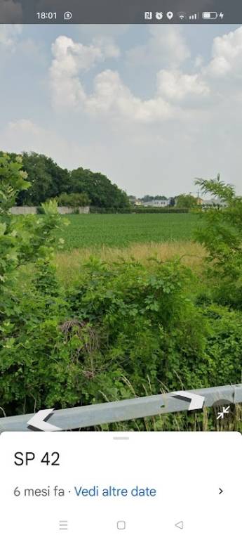 terreno agricolo in vendita a Treviglio