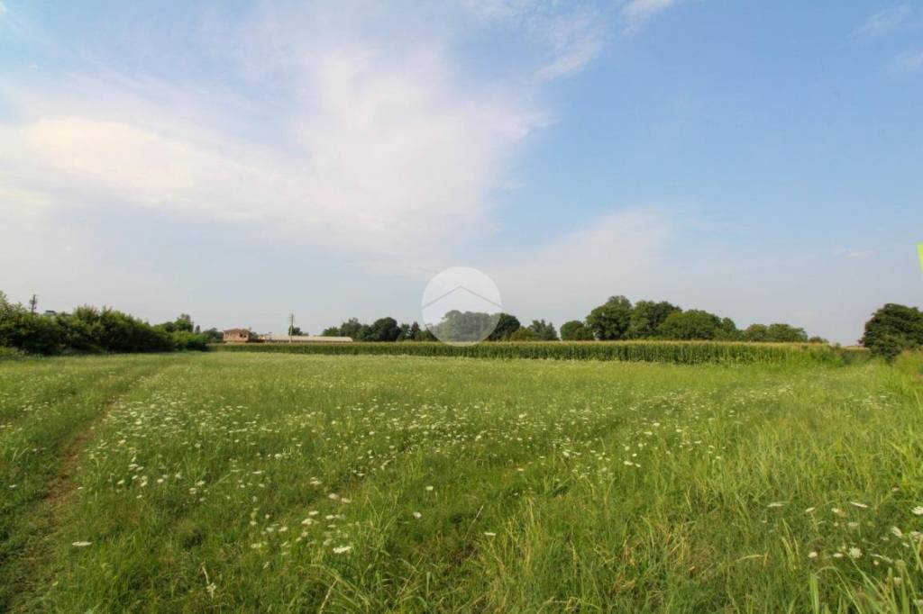 terreno agricolo in vendita a Treviglio