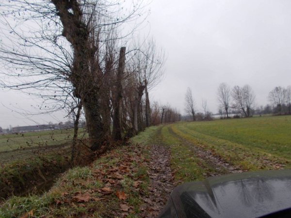 terreno agricolo in vendita a Treviglio