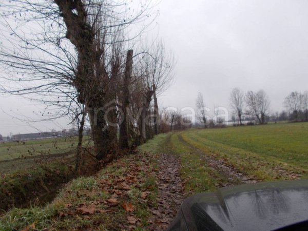 terreno agricolo in vendita a Treviglio