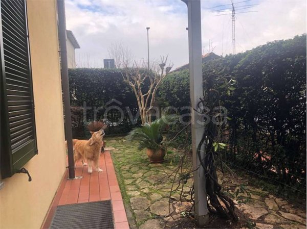 appartamento in vendita a Treviglio