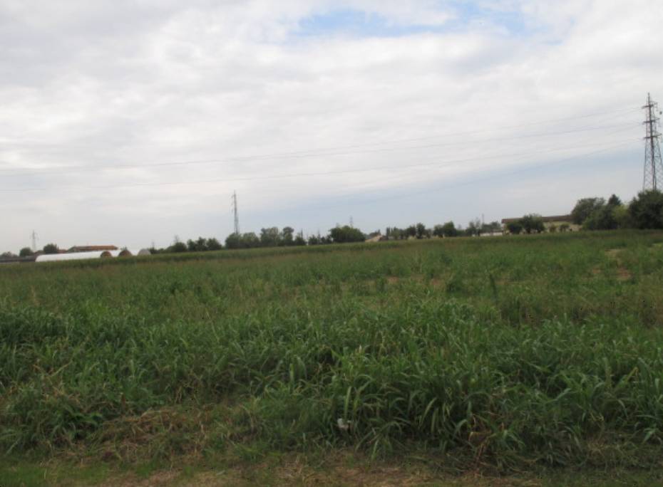 terreno agricolo in vendita a Treviglio