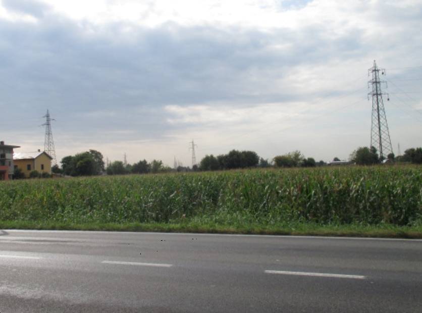 terreno agricolo in vendita a Treviglio