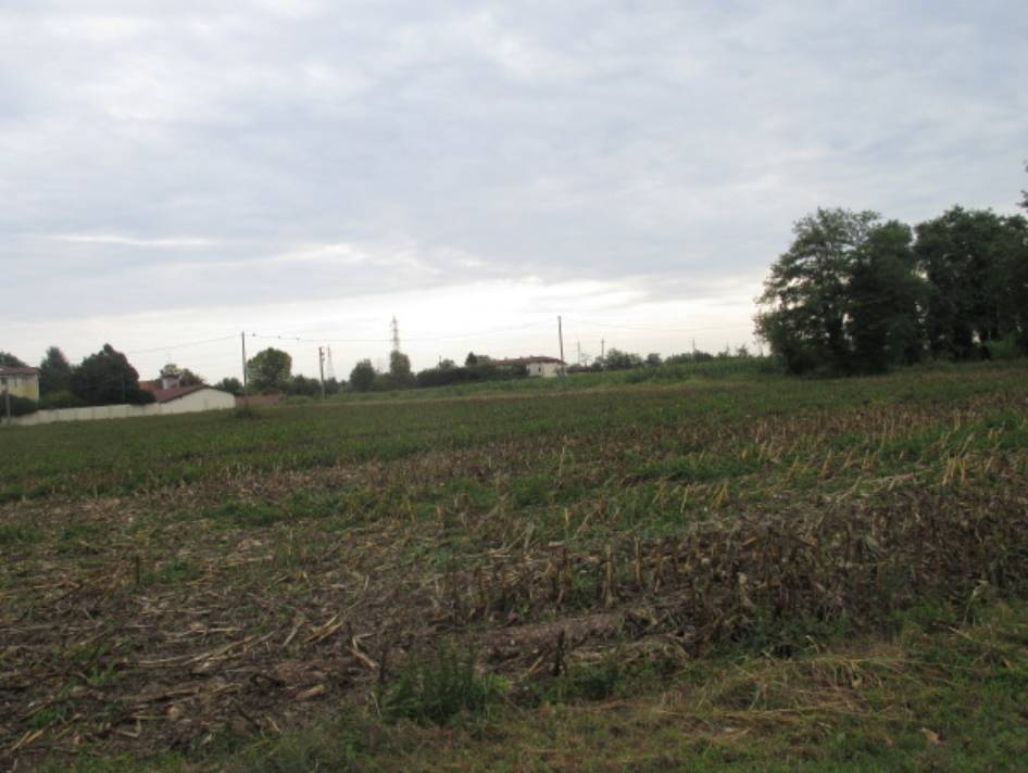 terreno agricolo in vendita a Treviglio
