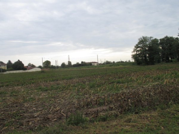 terreno agricolo in vendita a Treviglio