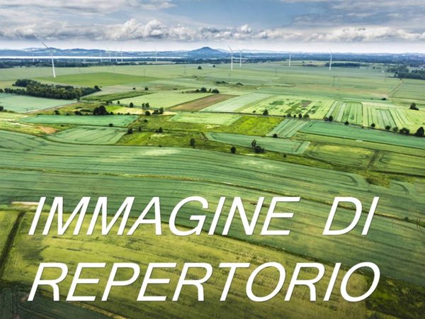 terreno agricolo in vendita a Treviglio