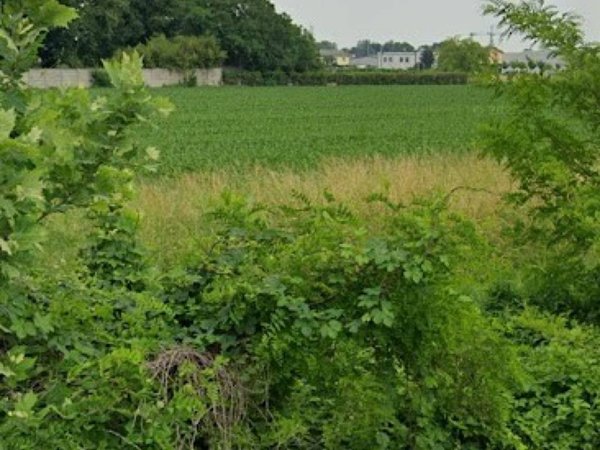 terreno agricolo in vendita a Treviglio