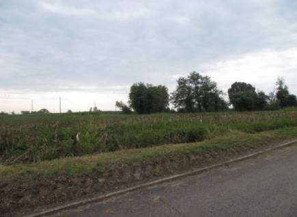 terreno agricolo in vendita a Treviglio