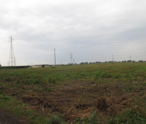 terreno agricolo in vendita a Treviglio