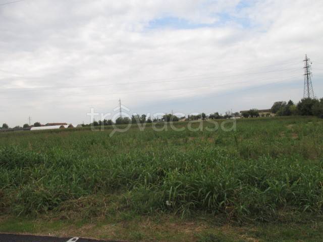 terreno agricolo in vendita a Treviglio
