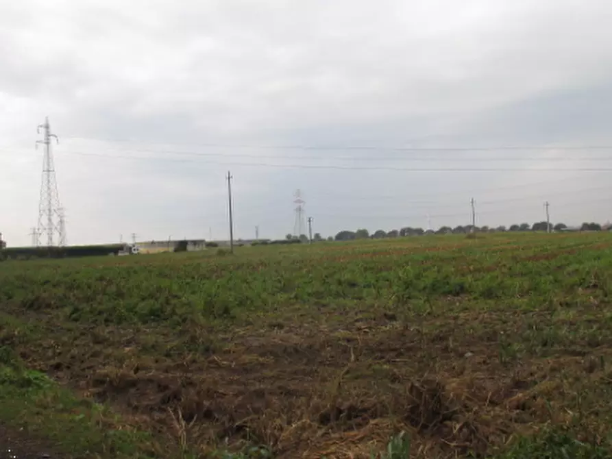terreno agricolo in vendita a Treviglio