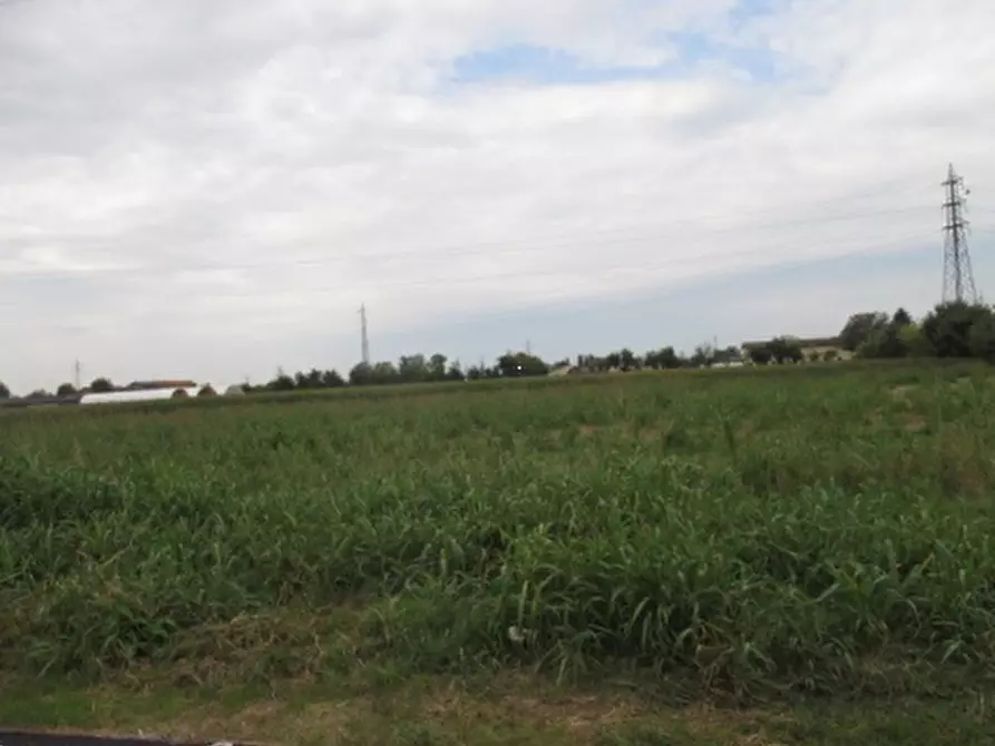 terreno agricolo in vendita a Treviglio