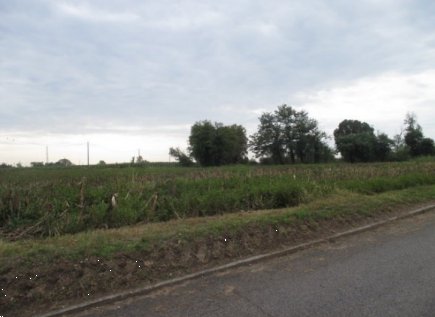 terreno agricolo in vendita a Treviglio