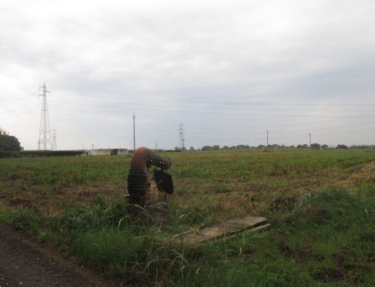 terreno agricolo in vendita a Treviglio